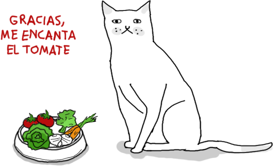 frases ironicas bonitas